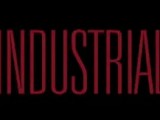 L'industriale